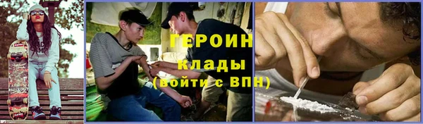 прущие грибы Арсеньев