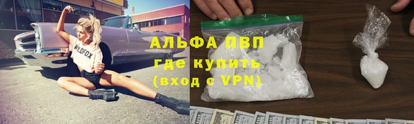 прущие грибы Арсеньев