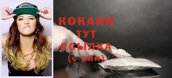 прущие грибы Арсеньев