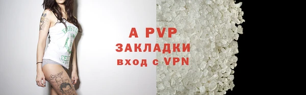 прущие крисы Аркадак