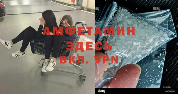 прущие грибы Арсеньев
